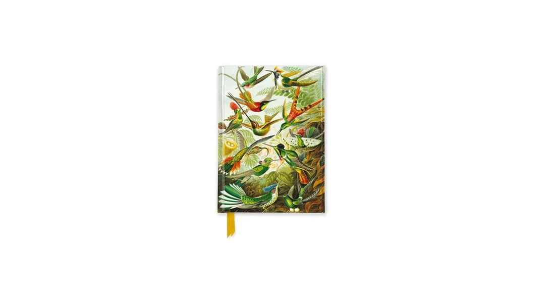 2026_05_28_798280
